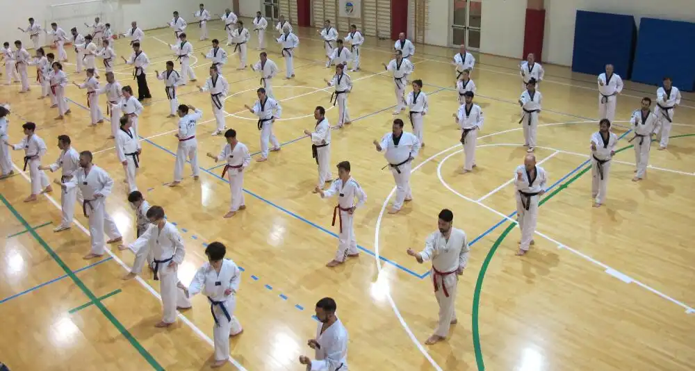 taekwondo club stage